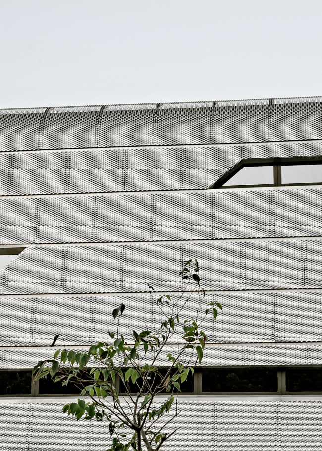 ������������� Azur Arena � Aldo Amoretti