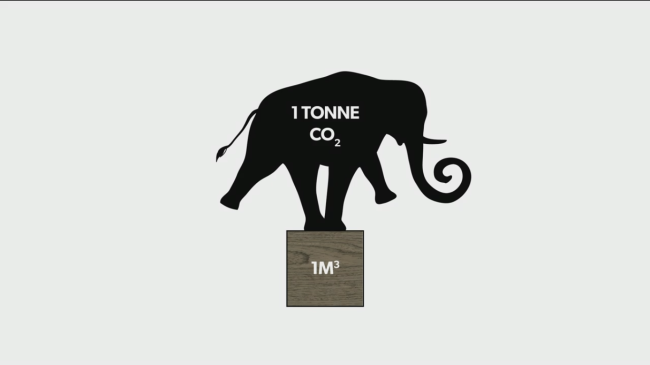 � ����� ���������� ����� ��������� �������������� ���� ����� �������� �������� � Michael Green