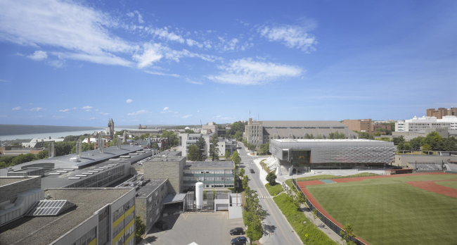 ������ ����� � ������� ����� ������������ ������������ � Roland Halbe. ���� � ����� morphopedia.com