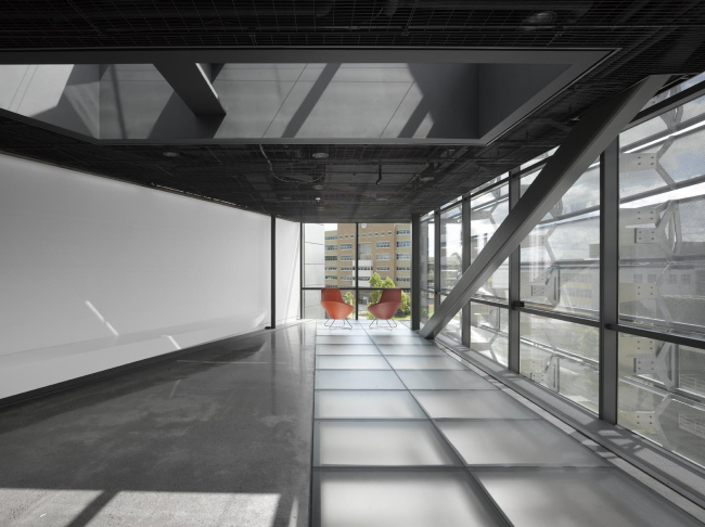 ������ ����� � ������� ����� ������������ ������������ � Roland Halbe. ���� � ����� morphopedia.com