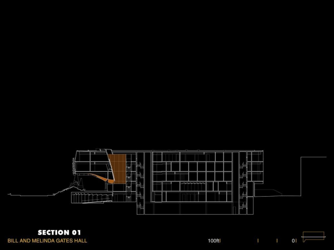 ������ ����� � ������� ����� ������������ ������������ � Morphosis Architects. ����������� � ����� morphopedia.com