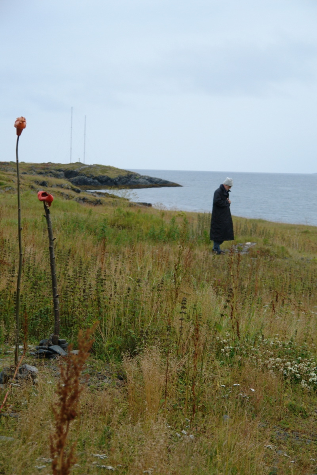 ����� ������ � ��������� ����������. ����: ���� �������