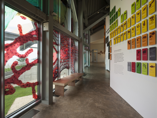 Biomuseo � ����� ���������������. ���� � Fernando Alda. ������������� Biomuseo