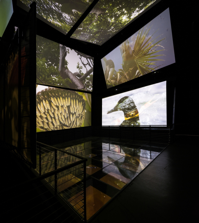 Biomuseo � ����� ���������������. ���� � Fernando Alda. ������������� Biomuseo