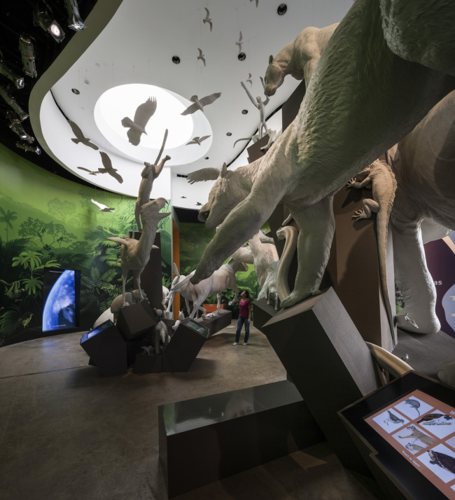 Biomuseo � ����� ���������������. ���� � Fernando Alda / Fundación Amador. ������������� Biomuseo