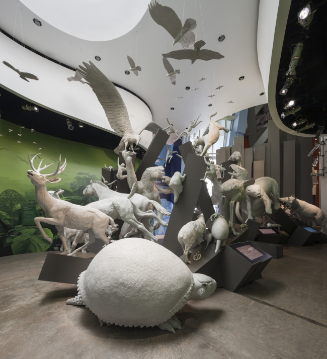 Biomuseo � ����� ���������������. ���� � Fernando Alda / Fundación Amador. ������������� Biomuseo