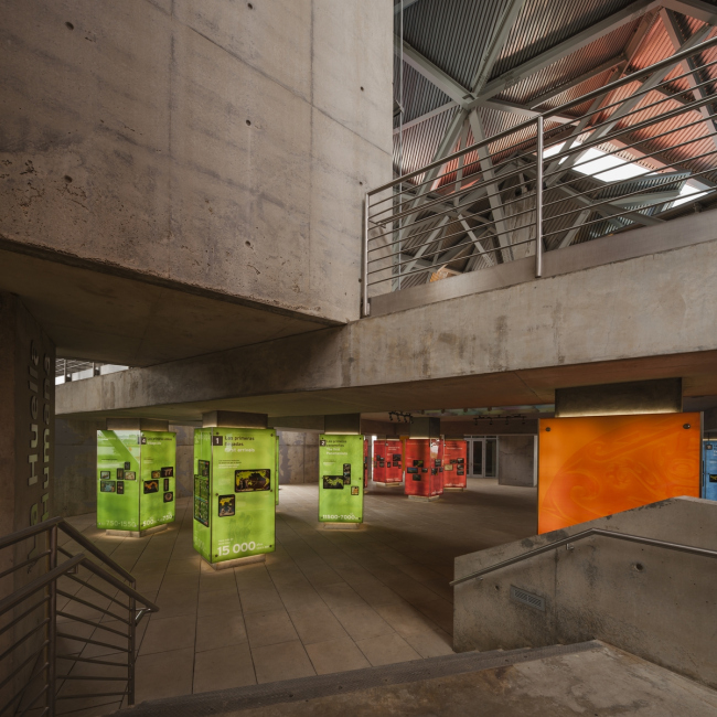 Biomuseo � ����� ���������������. ���� � Fernando Alda / Fundación Amador. ������������� Biomuseo