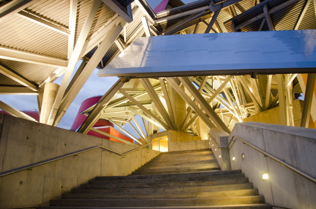 Biomuseo � ����� ���������������. ���� � Victoria Murillo/Istmophoto.com