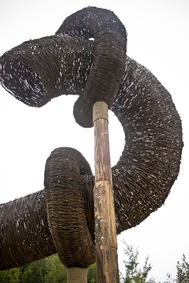 ���� ��������� � ��������. ���-������ ������� ����������. �������� ���� ��������