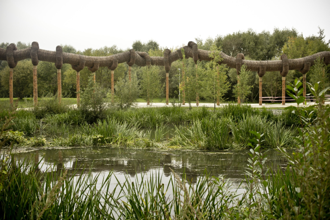 ���� ��������� � ��������. ���-������ ������� ����������. �������� ���� ��������