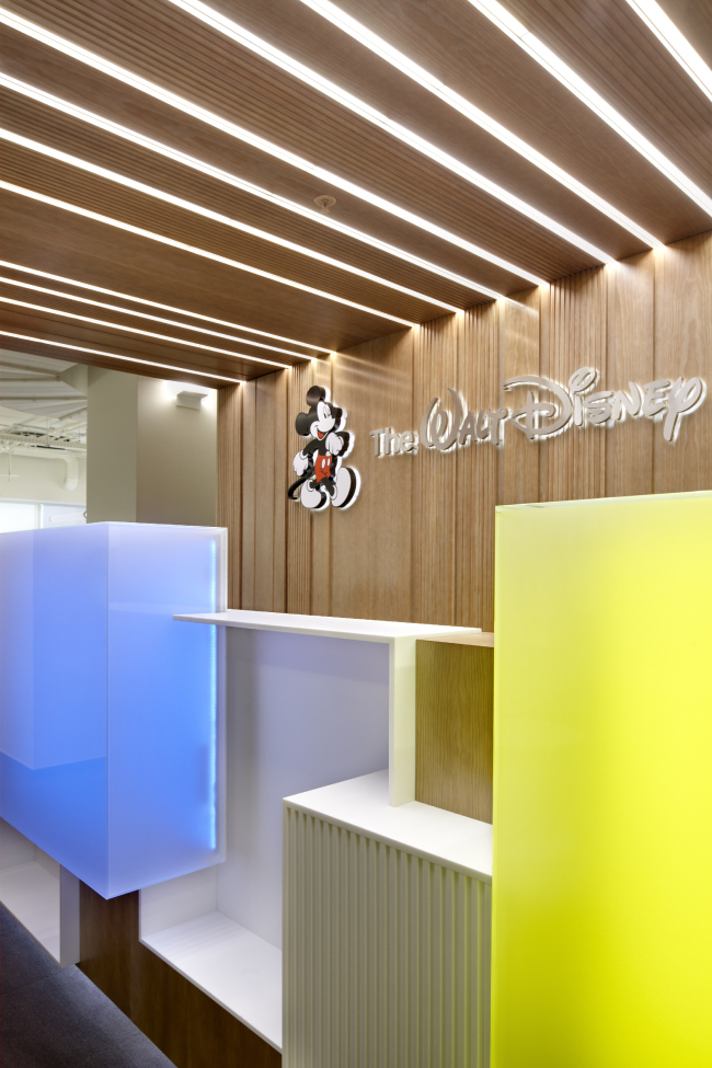     The Walt Disney Company CIS.  UNK project