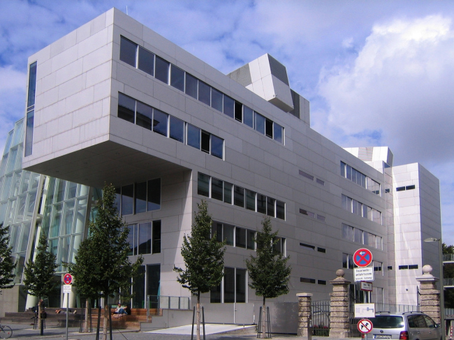 �������� ���������. ����: digital cat via flickr.com. �������� CC BY 2.0