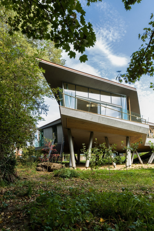�������������� ����� ����� �������� ׸����� � Wilkinson Eyre Architects
