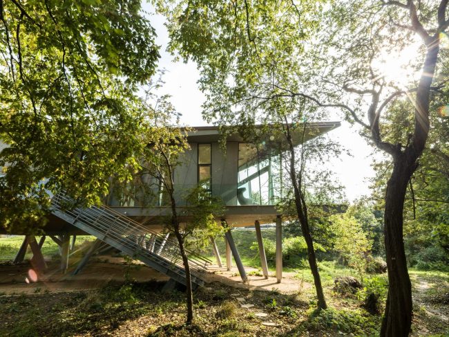�������������� ����� ����� �������� ׸����� � Wilkinson Eyre Architects