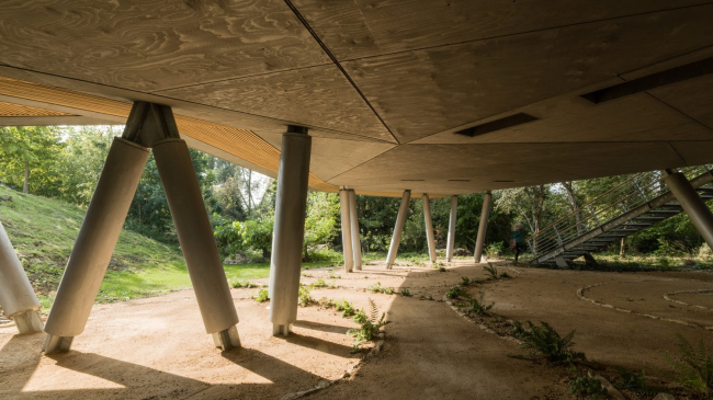 �������������� ����� ����� �������� ׸����� � Wilkinson Eyre Architects