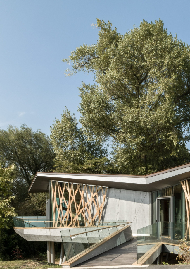 �������������� ����� ����� �������� ׸����� � Wilkinson Eyre Architects