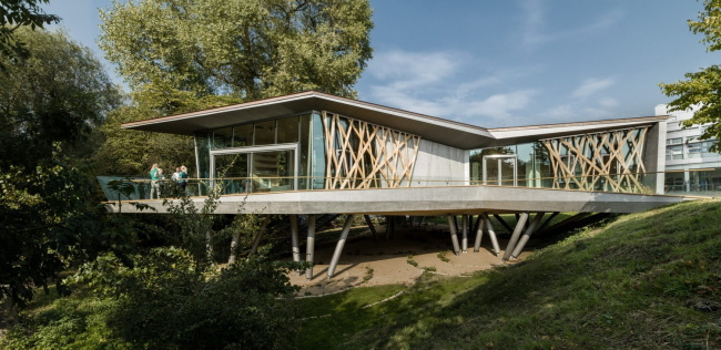 �������������� ����� ����� �������� ׸����� � Wilkinson Eyre Architects