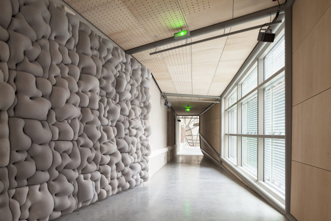 ������ FRAC ������� ����� � Jakob + MacFarlane.
����: Nicolas Borel