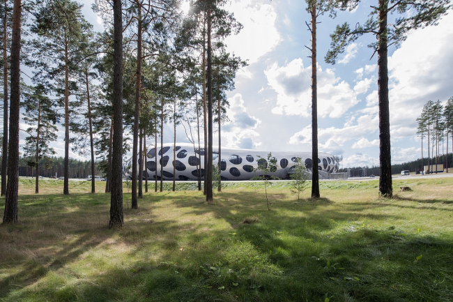 ������� ����� ���� � �������� � Tomaz Gregoric