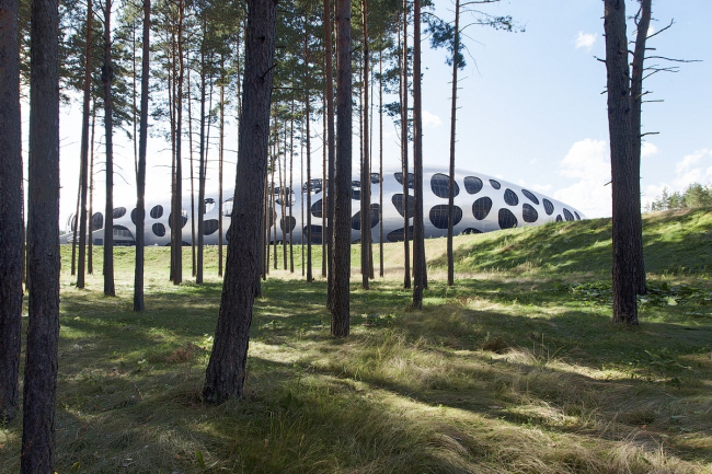 ������� ����� ���� � �������� � Tomaz Gregoric