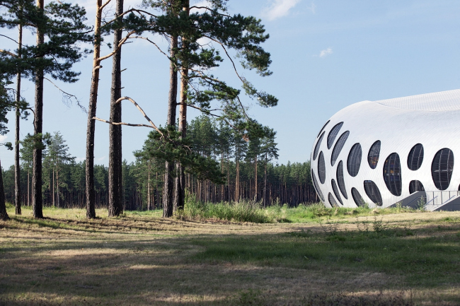 ������� ����� ���� � �������� � Tomaz Gregoric