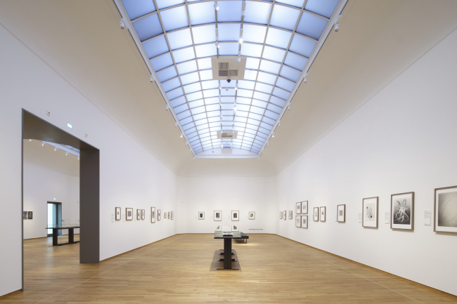 ����������� � ����� Philips � Rijksmuseum / Ronald Tilleman