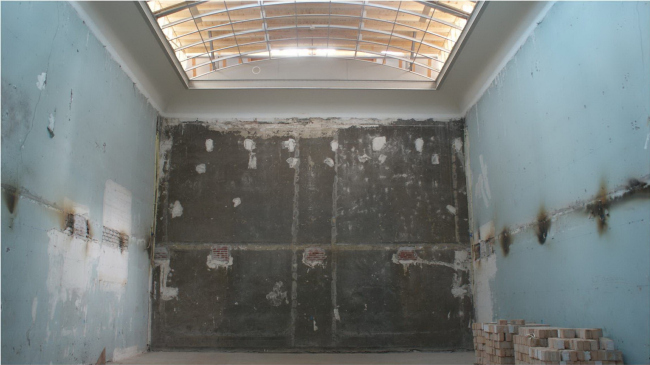 ����������� � ����� Philips � Cruz y Ortis