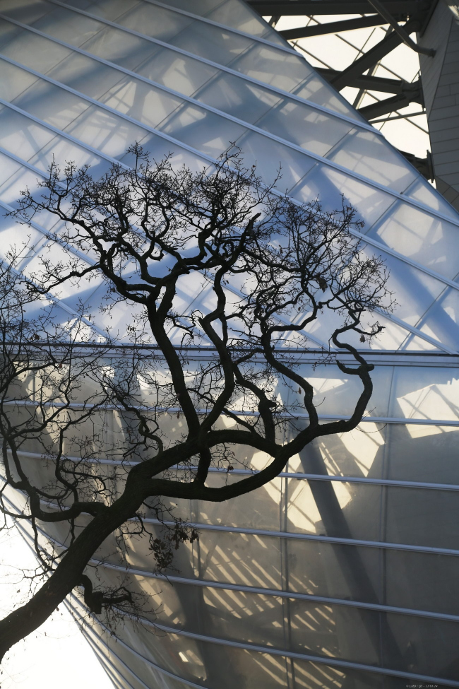 ���� Louis Vuitton � Fondation Louis Vuitton / Louis-Marie Dauzat -
2014