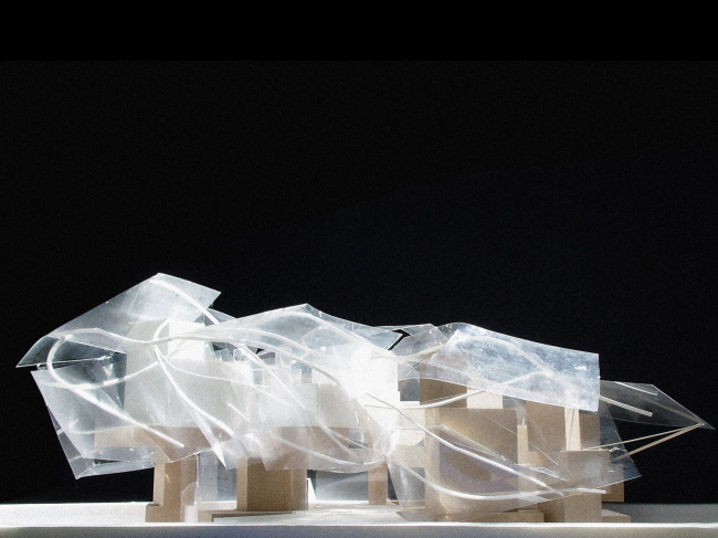 ���� Louis Vuitton � Gehry Partners LLP
