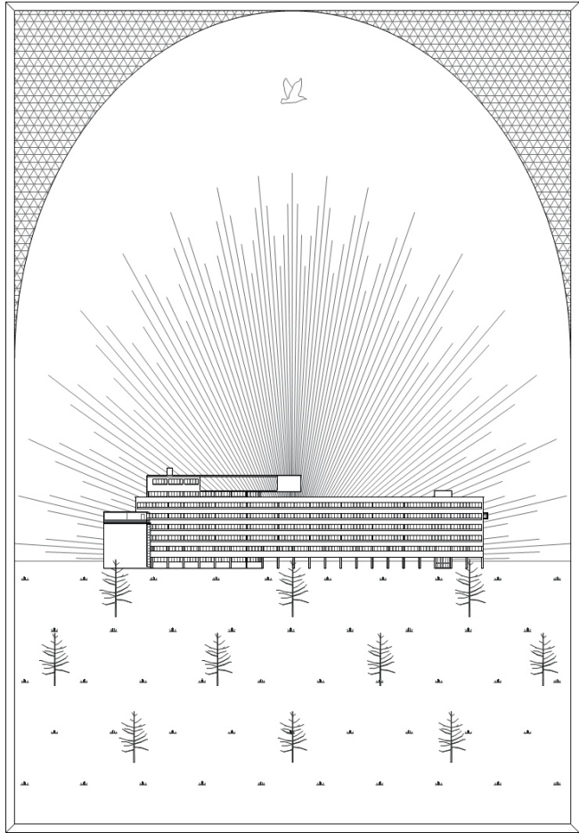 ������� ������, ���� �����������, ������� �������. ������ ���� ����������