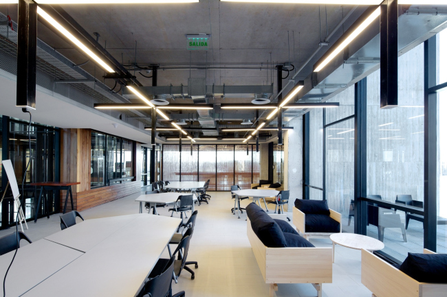 ����� ��������� ������������� ������������ ���� ��������� ��������� � Nico Saieh