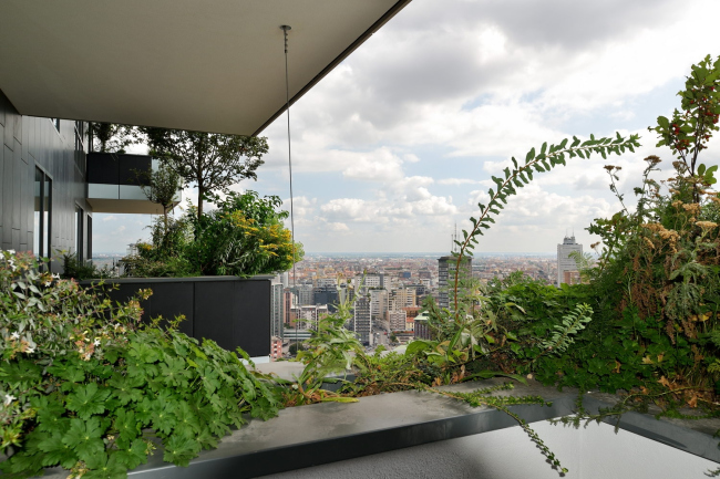 ����� �������� Bosco Verticale � Paolo Rosselli