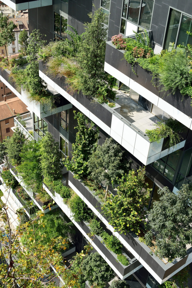 ����� �������� Bosco Verticale