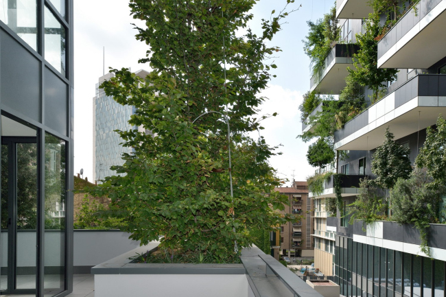 ����� �������� Bosco Verticale � Paolo Rosselli
