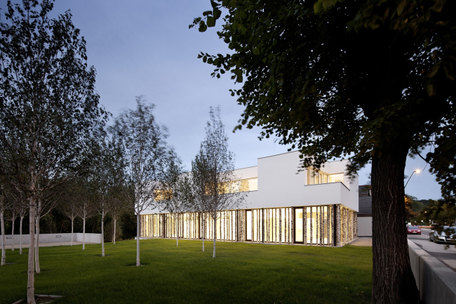 ����� ��� � �������� ����� Ordination Wienerwald � Kurt Kuball