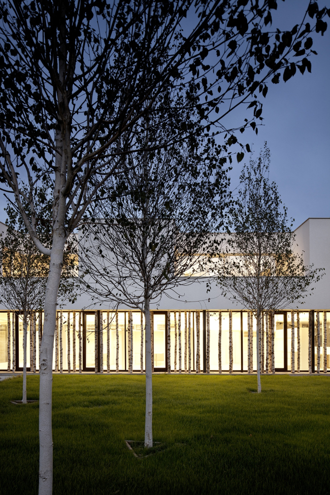 ����� ��� � �������� ����� Ordination Wienerwald � Kurt Kuball