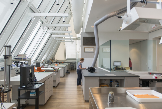 ����� �������� ������������ ������������ � �������������. ����: Zak Jensen