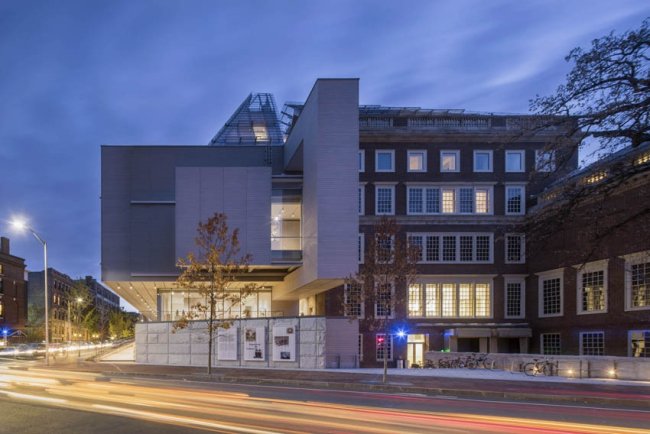 Музеи искусств Гарвардского университета – реконструкция. Фото: Nic Lehoux