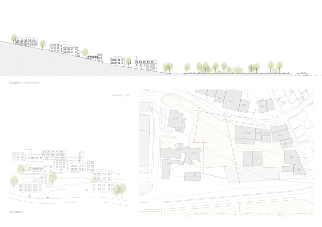 ������ �Re-Generation. ����� �� ����� � ���� ���������