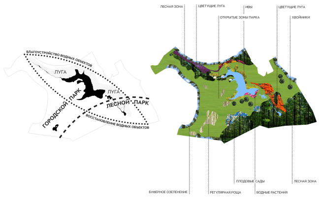 Typology of landscaping the park territory. Concept of the landscape development of "Mitino" Park. Landscape design studio Arteza © Arteza