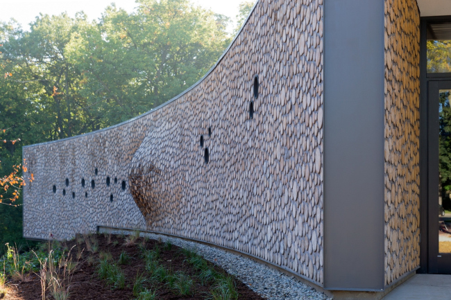 ����� ���������� �������������� Arcus � Iwan Baan