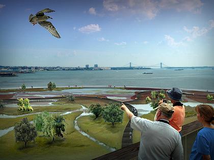 ���� ���������-������