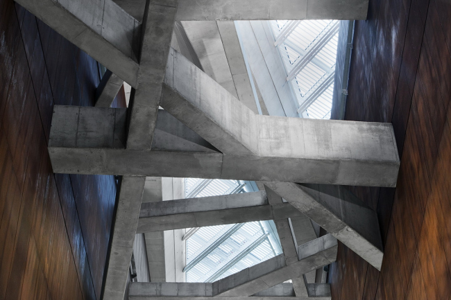 ������� ����� �Ը��� ��� � Tamás Bujnovszky