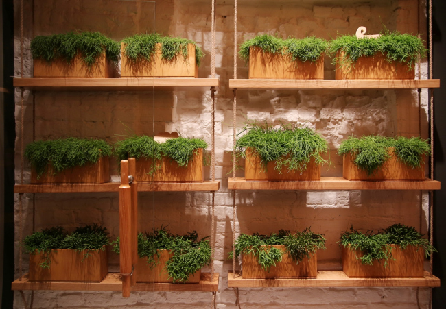 �������� �������� ������������ Simple. ���� ������������� ���������� Brandon