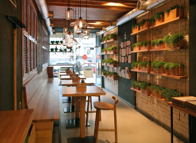 �������� �������� ������������ Simple. ���� ������������� ���������� Brandon