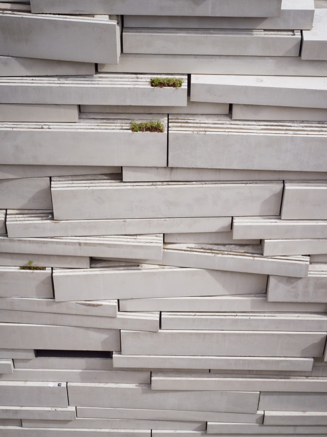 ��������� ����� ���� � ��������������� � David Foessel