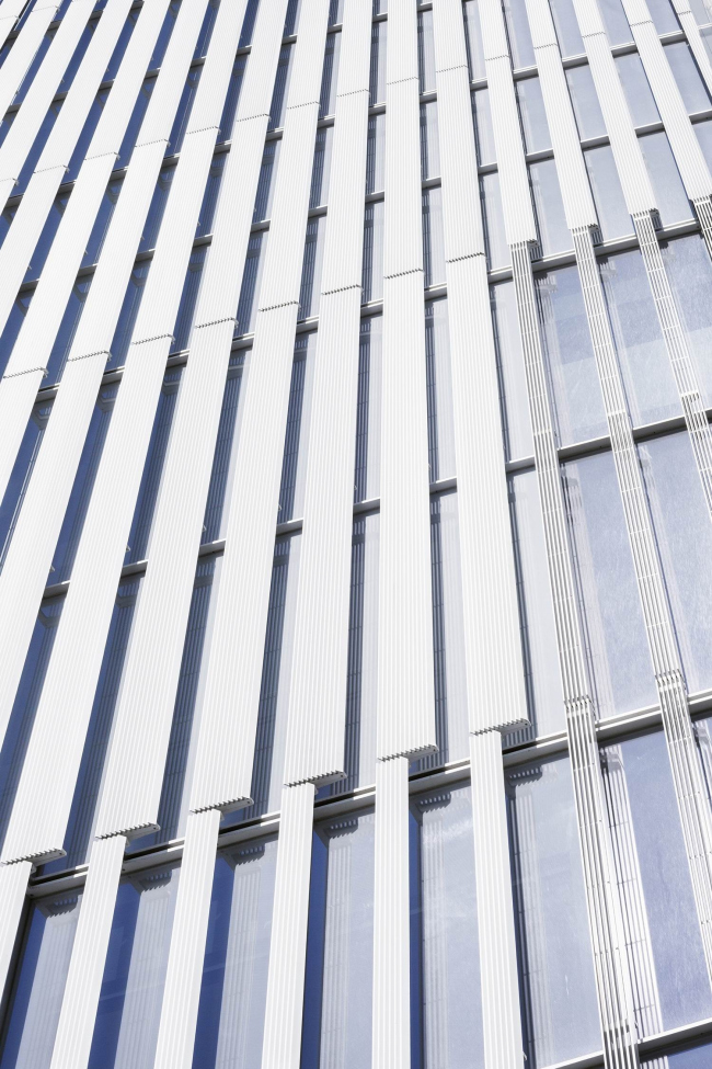 ������ ������������ ���� ������ ��� � Scott Frances