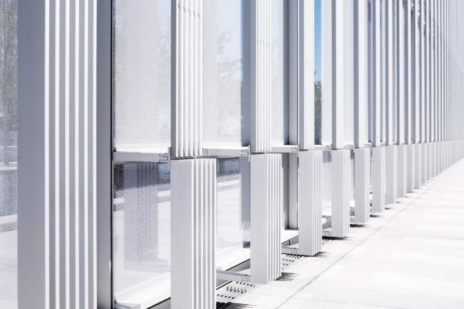 ������ ������������ ���� ������ ��� � Scott Frances