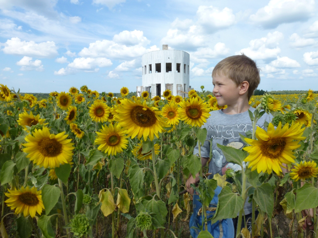 �������� ���������� ���������, 2009. ���������� � ����������, 2014 