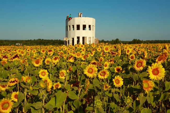 �������� ���������� ���������. ���������� � ����������, 2014